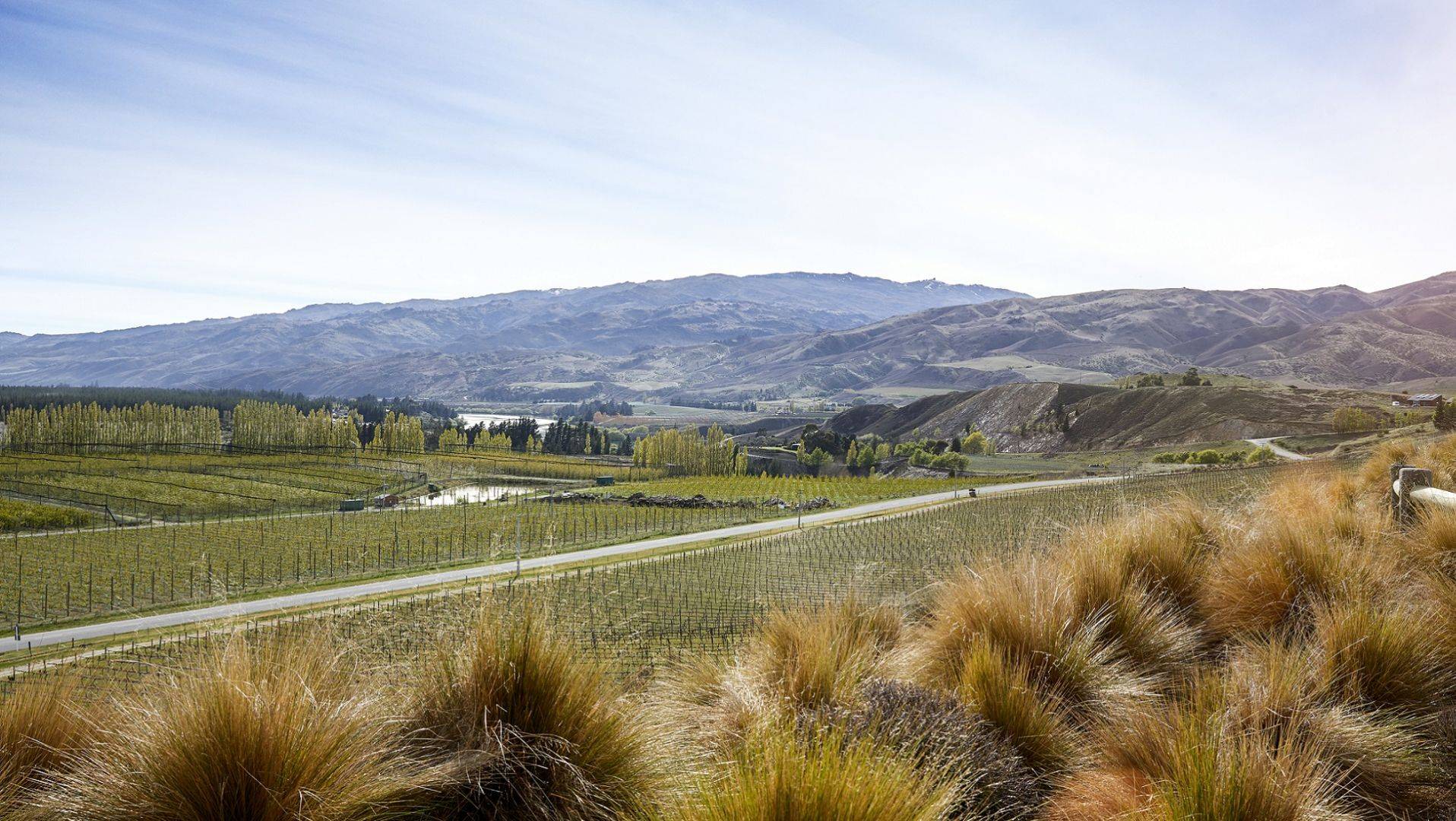 central otago cycling wine tour
